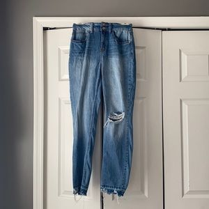 Light Wash Distressed Skinny Jean